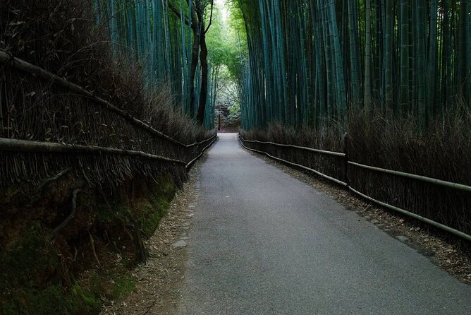 Kyoto Bamboo Forest & Golden Pavilion E-Bike Tour - Arashiyama Bamboo Forest trail: what makes it feel unreal