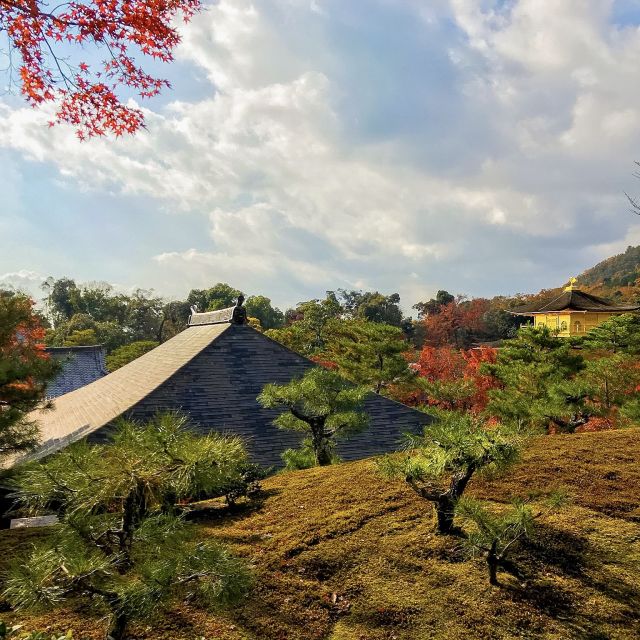 Kyoto: City Secrets eBike Tour - Geisha District Streets and the Shrine of Learning
