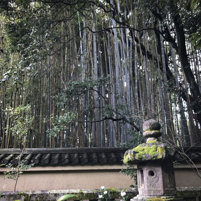 Kyoto: City Secrets eBike Tour - Zen Gardens: The Part That Turns a Tour Into a Reset