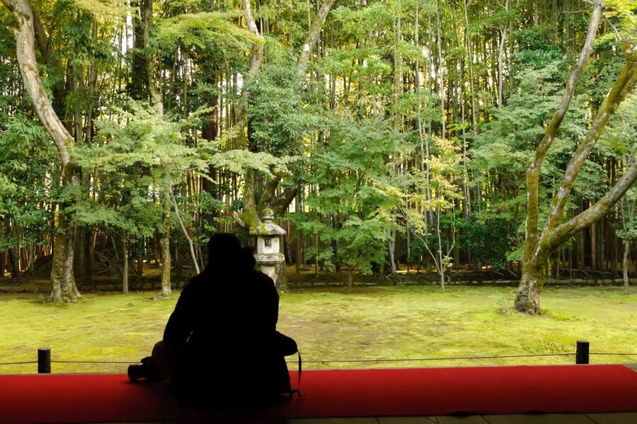 Kyoto: City Secrets eBike Tour - Who This Tour Fits Best (and Who It Might Not)