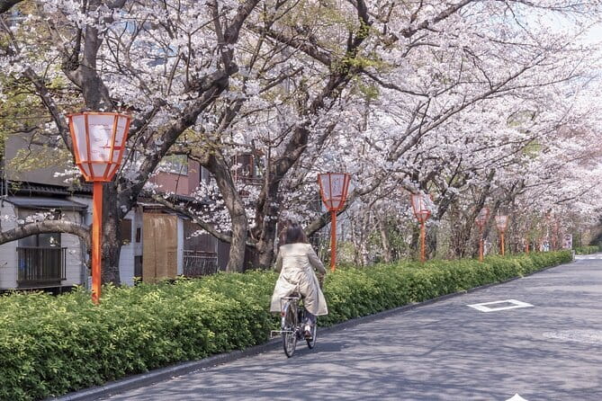 Kyoto E-Bike Tour of Hidden Gems, Backstreets and Temples - E-Bike Reality Check: Easy Riding, Still Some Walking