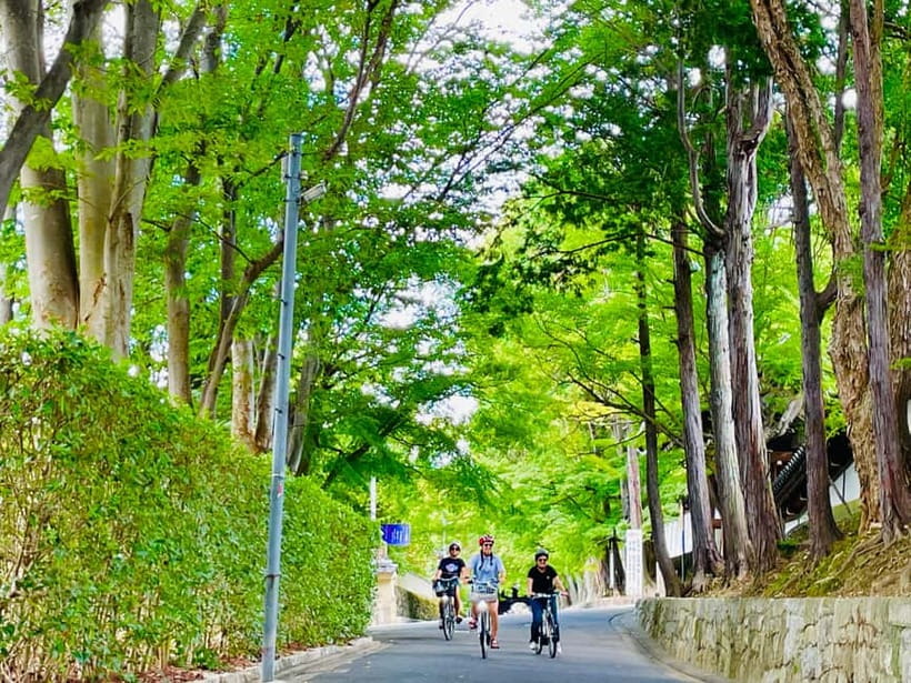 Kyoto: Fushimi Inari Shrine and Tofukuji Temple E-Bike Tour - Pedal Adventure Kyoto: The Bike-Ready Start You’ll Be Glad You Got