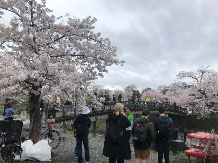 Kyoto: Memory Kyoto E-Bike Tour - FAQ