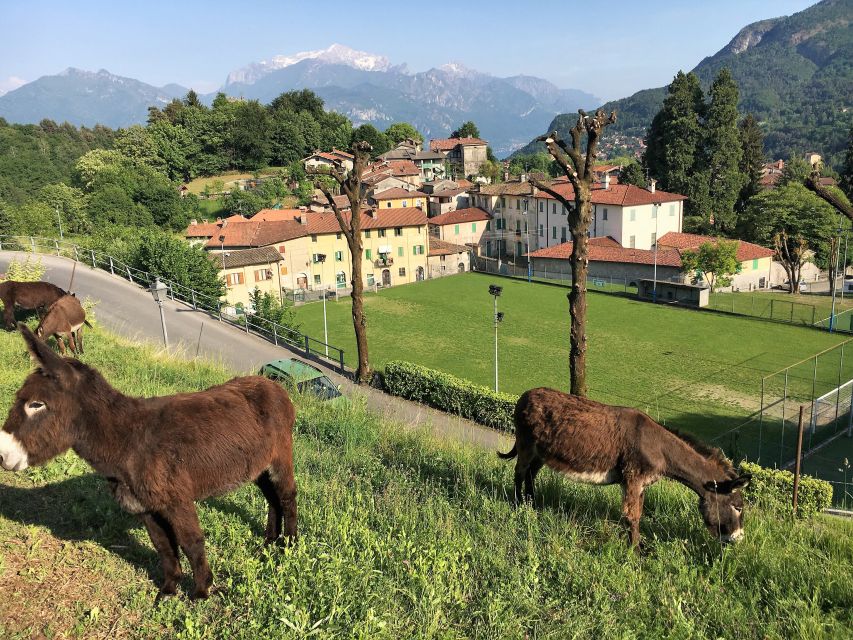 Lake Como to Lake Lugano: E-Bike Three Panoramic Lakes - Down Into Val Sanagra: Quiet Gorge Riding and Old Mills