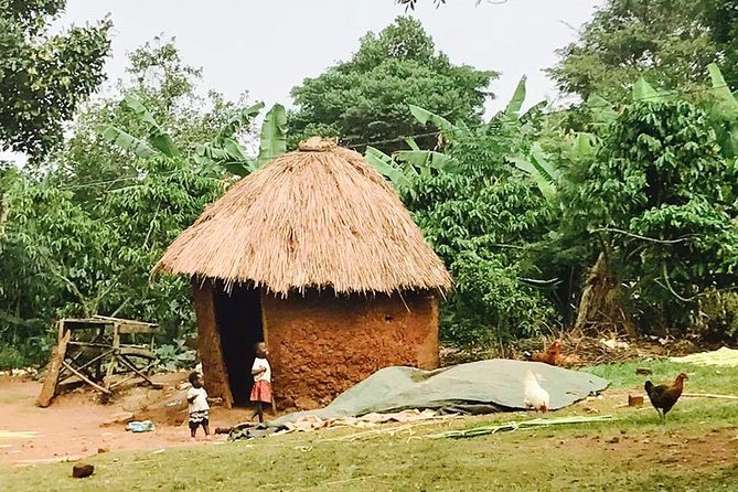 Lake Victoria Island Cycling Tour from Kampala - From Kampala to the Island Roads: The Big Idea