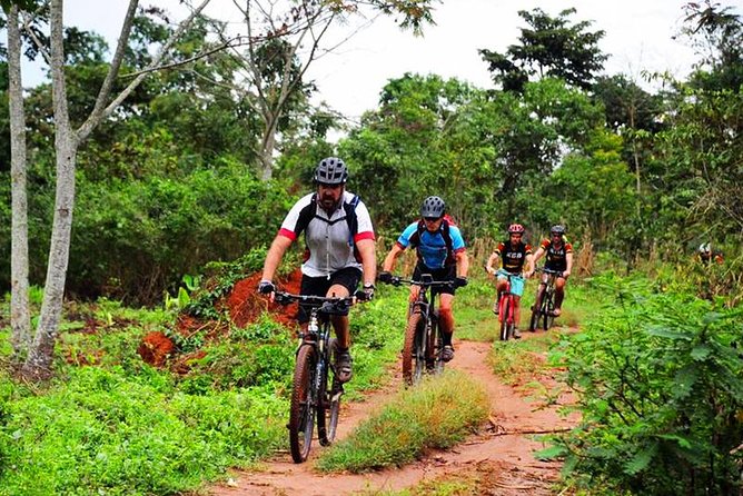 Lake Victoria Island Cycling Tour from Kampala - The Ferry Crossing: Your Shortcut to a Different World