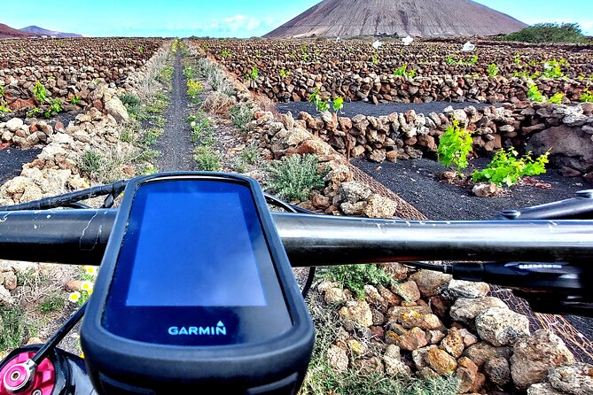 Lanzarote E-Bike Tour: Volcano Craters & Scenic Vineyards - Timanfaya on an e-bike: the 4 hours you’ll talk about later