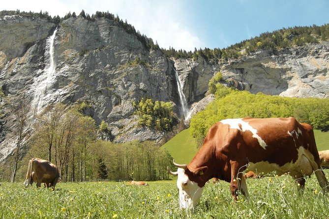 Lauterbrunnen Valley Waterfalls E-bike Tour with Swiss Picnic - Trümmelbach Falls Inside the Mountain: The Sound of Water
