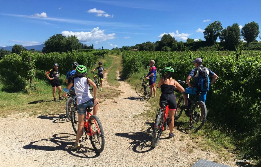 Lazise: Bike Tour and Wine Tasting - Why Lazise and Lake Garda fit this tour perfectly