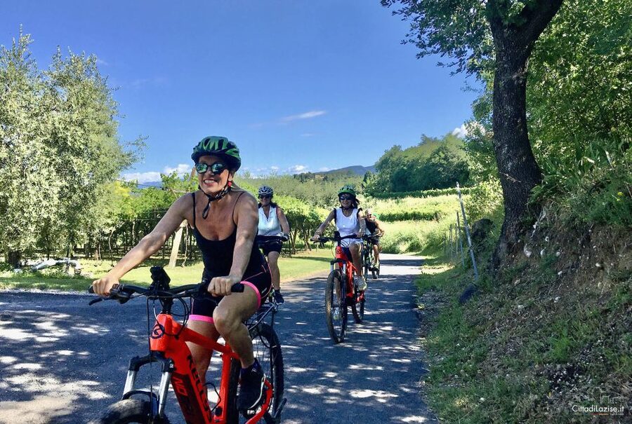 Lazise: Bike Tour and Wine Tasting - The ride itself: vineyards, olive groves, and photo stops that make sense