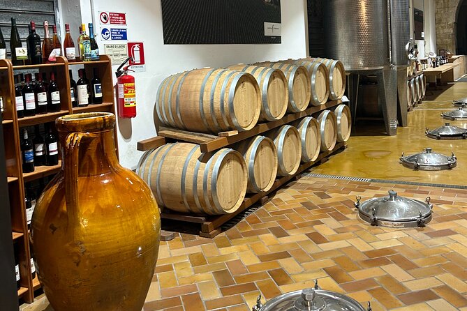 Lecce to Galatina E-Bike: Olive Mill & Wine Tasting + Taxi back - Who should book this and who should skip it