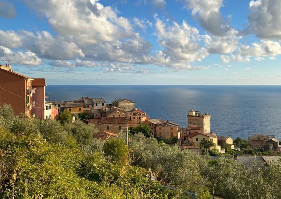 Levanto: Guided E-Bike Tour in Framura with Wine & Focaccia - Bonassola Bay Views at Madonnina della Punta