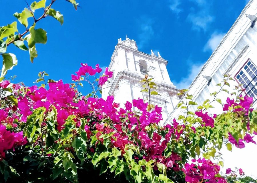 Lisbon: 7 Hills Panoramic Guided Tour by E-Bike - Price and Value: Is $53 Worth 4 Hours and an E-Bike?
