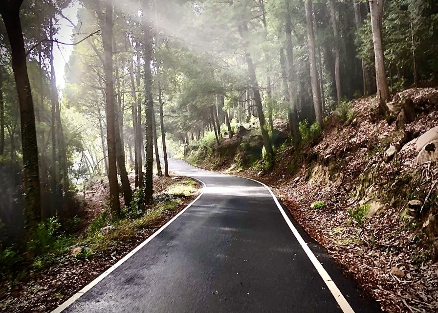 Lisbon: E-bike Trip from the Sintra Mountains to Cascais Sea - Peninha area and the 360-degree outlook