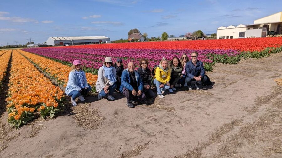 Lisse: Enjoy the Tulip Fields by Bike with a Local Guide! - Price and Value: Is 58 USD Worth It?