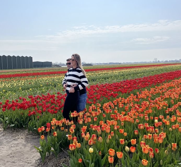 Lisse: Enjoy the Tulip Fields by Bike with a Local Guide! - Bike Comfort Tips That Make This Tour Feel Better