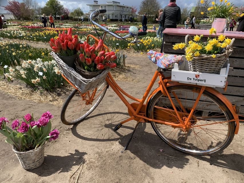 Lisse: Enjoy the Tulip Fields by Bike with a Local Guide! - Should You Book This Lisse Tulip Fields by Bike Tour?