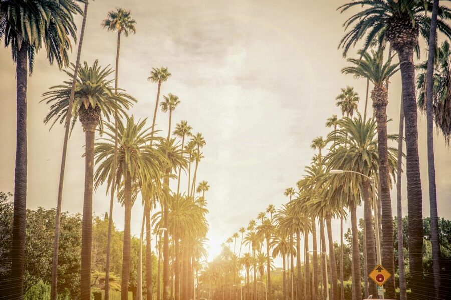 Los Angeles: LA in a Day Guided Electric Bike Tour - Price, Included Value, and What You’ll Spend Anyway
