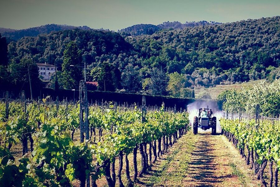Lucca: Guided E-Bike and Wine Tour - Key highlights at a glance