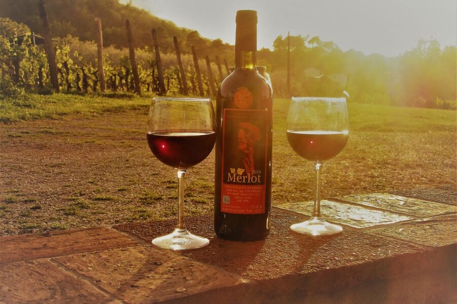 Lucca: Guided E-Bike and Wine Tour - Lucca’s walls by e-bike: the best kind of easy sightseeing
