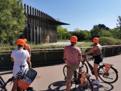 Lyon: 2-Hour Electric Bike Tour with a Local Guide - Where you meet near the Palais de Justice (and why it helps)