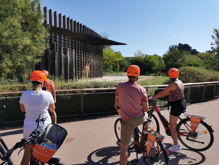 Lyon: 2-Hour Electric Bike Tour with a Local Guide - Where you meet near the Palais de Justice (and why it helps)