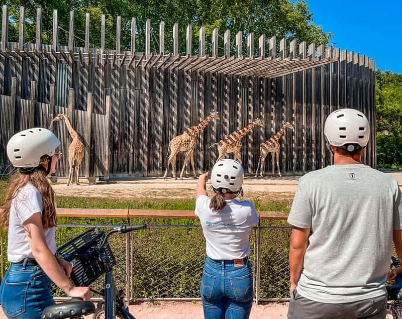Lyon: Guided City Bike Tour - Price and value: why $56 feels fair for 3 hours