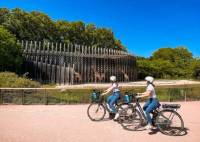 Lyon: Parc Tête d'Or eBike Tour - Peninsula Highlights: Opera House to Place des Terreaux