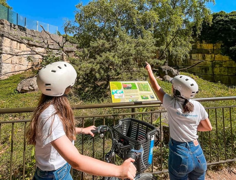 Lyon: Parc Tête d'Or eBike Tour - Parc de la Tête d’Or: Green Lung Views, Zoo Stops, and a Lake Moment