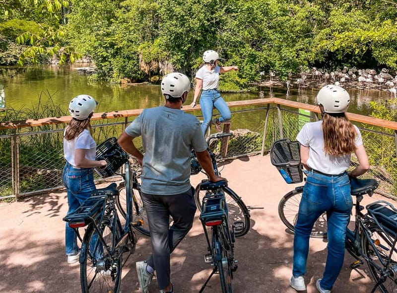 Lyon: Tête d'Or park on an electric bike Tour - Should You Book This Lyon Tête d’Or E-Bike Tour?