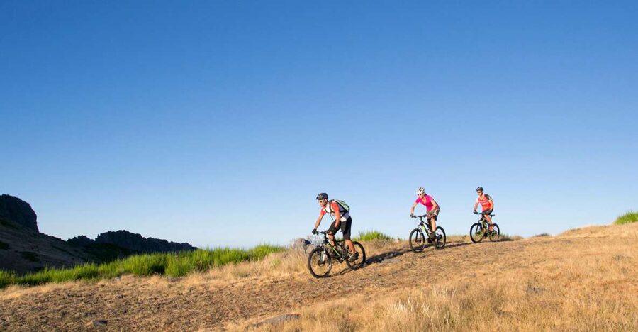 Madeira Botanical Levels Bike Tour – Scenic Trail Experience - Key things I’d bank on before you book