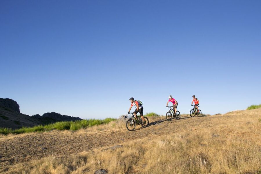 Madeira Botanical Levels Bike Tour – Scenic Trail Experience - The Sentinel Alloy GX full-suspension setup (and the gear you actually need)