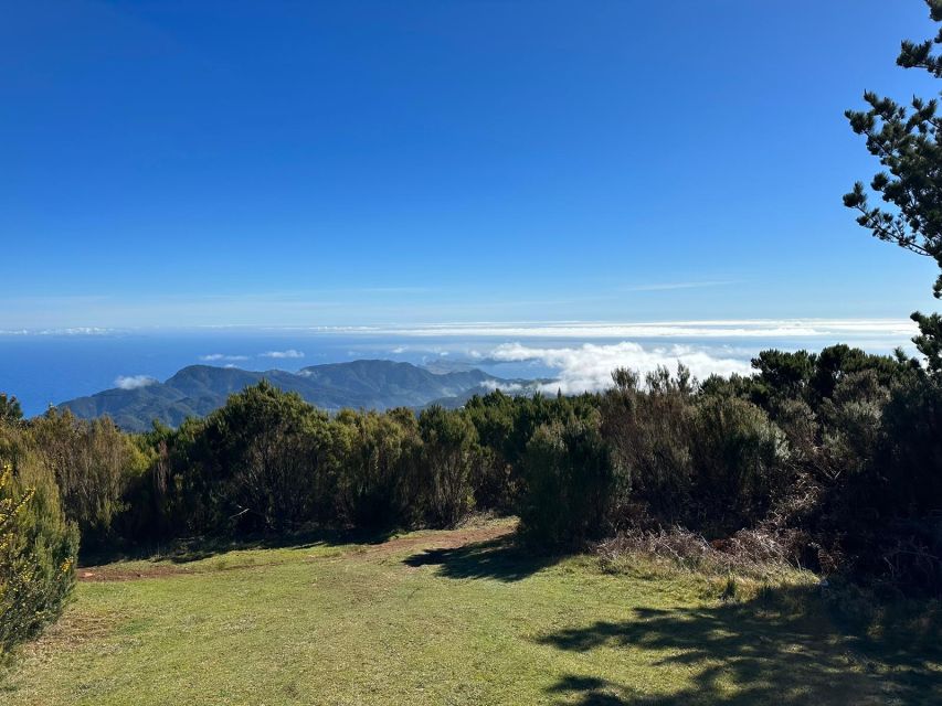 Madeira Botanical Levels Bike Tour – Scenic Trail Experience - The final 10 kilometers: why precise braking is the whole game