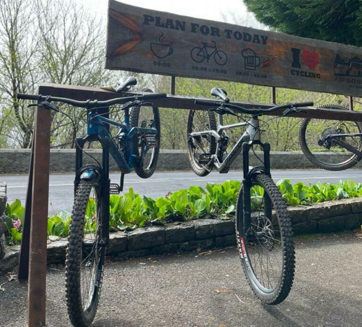 Madeira Botanical Levels Bike Tour – Scenic Trail Experience - Photos, coaching, and the small-group advantage (8 people max)