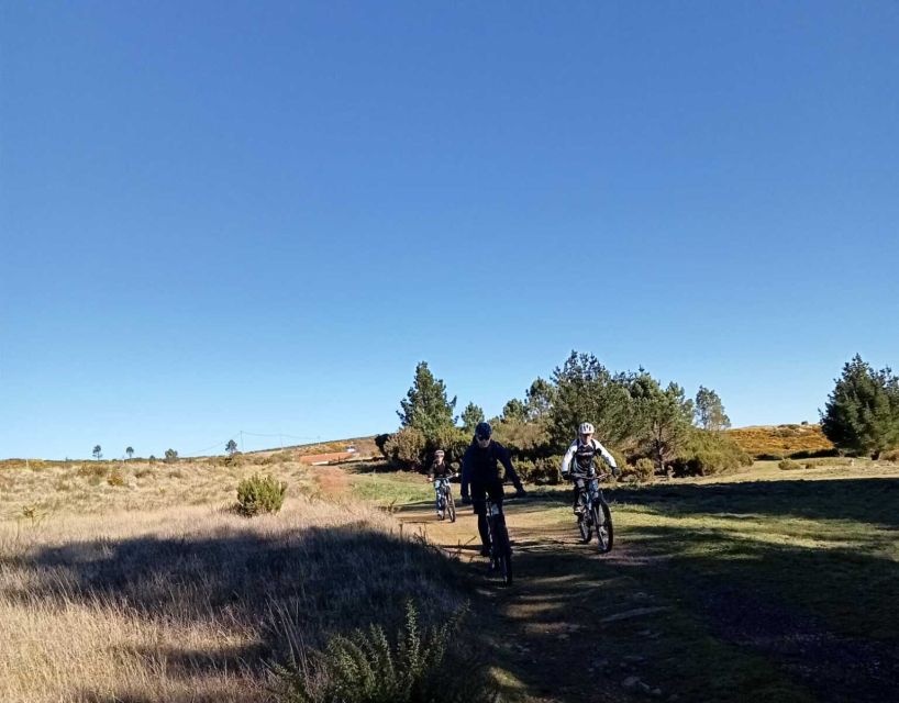 Madeira Botanical Levels Bike Tour – Scenic Trail Experience - Who should book this ride, and who should choose a gentler line