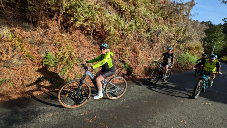 Madeira West coast: Guided Sightseeing E-Bike Tour - Bikes, Group Size, and Pacing for Real People