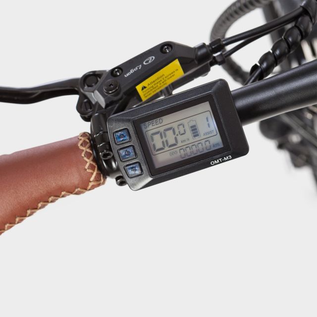 Madrid: Guided Electric Bike Tour. City center & Retiro Park - Las Letras Quarter: the short stop that pays off