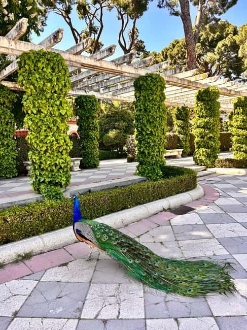Madrid: Magic Retiro Park Bike Tour - Key Highlights You’ll Actually Care About