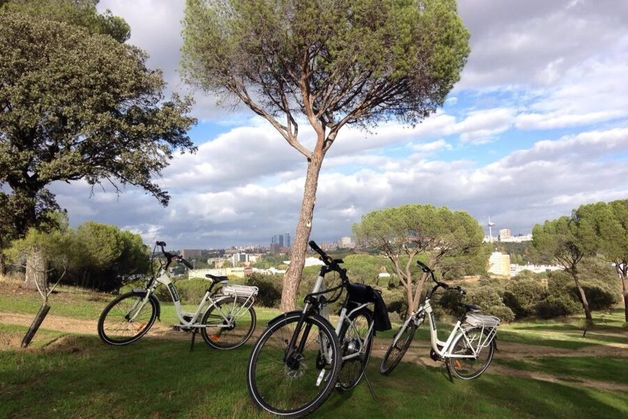 Madrid’s River Side & Casa de Campo Electric Bike Tour - The Seven Bridges Factor and Civil War Clues