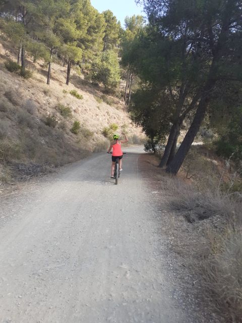 Málaga: Scenic Easy 3-Hour E-Bike Tour in Montes de Málaga - The warm-up out of town: canal time, then La Concepción