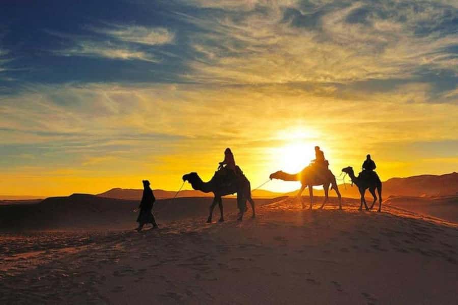 Marrakech: Camel & Quad Bike Tour with Sunset, Dinner & Show - Key highlights I’d circle first