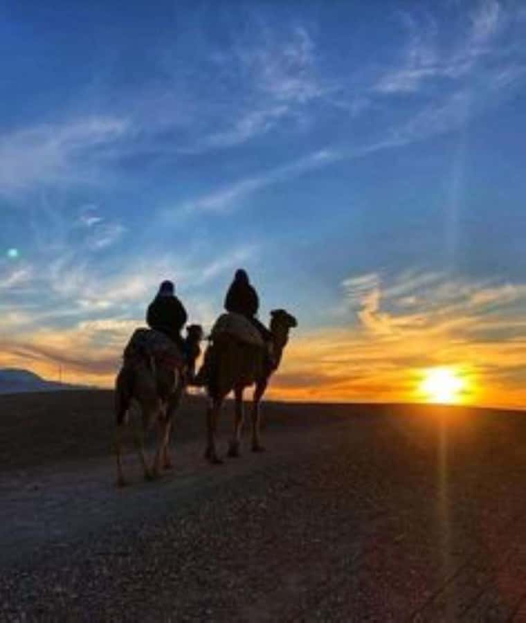 Marrakech: Camel & Quad Bike Tour with Sunset, Dinner & Show - Guides are a big part of why this tour works