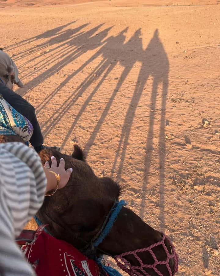 Marrakech: Camel & Quad Bike Tour with Sunset, Dinner & Show - Quad biking in Agafay: 30 minutes of real thrill (shared, too)
