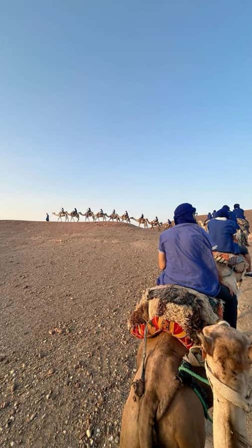 Marrakech: Camel & Quad Bike Tour with Sunset, Dinner & Show - Dinner under a Berber tent: music, campfire, food, and show