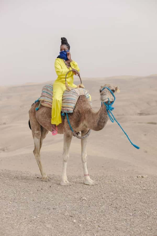 Marrakech: Camel & Quad Bike Tour with Sunset, Dinner & Show - Argan oil cooperative stop: quick culture that adds context