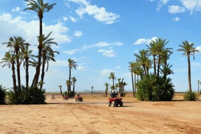 Marrakech Desert and Palm Grove Quad Bike Tour - Key highlights worth your time