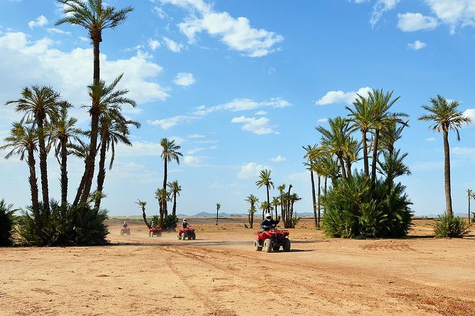 Marrakech Desert and Palm Grove Quad Bike Tour - Key highlights worth your time