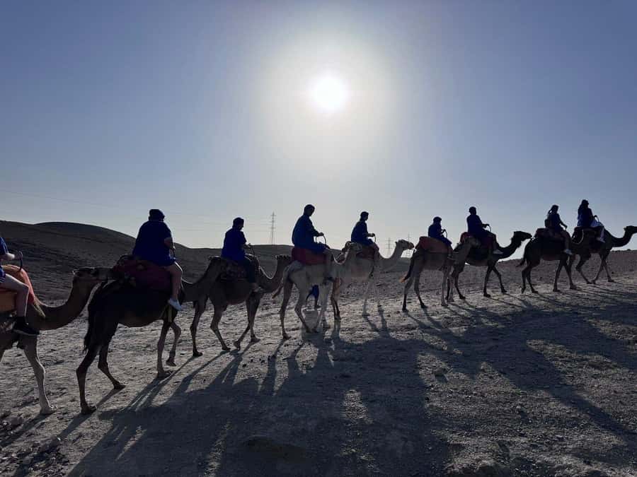 Marrakech: Desert Quad Bike Tour with Tea & Optional Dinner - Optional Camel Riding: Worth It or a Hard Pass?