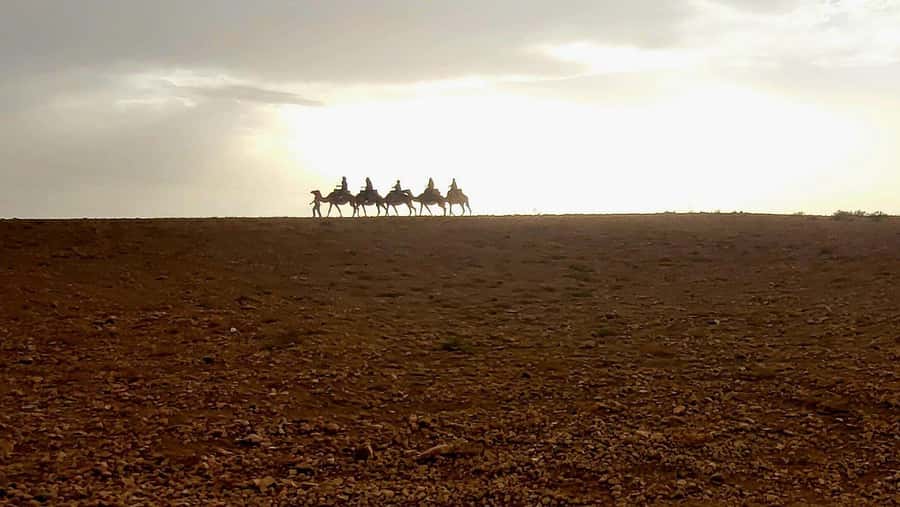 Marrakech: Desert Quad Bike Tour with Tea & Optional Dinner - Clothing, Timing, and Safety: Small Things That Matter