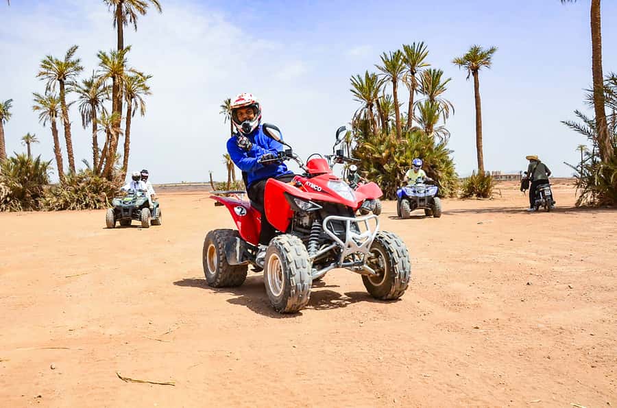 Marrakech: Quad Bike Tour to Palm Oasis and Jbilat Desert - Who This Tour Fits Best (and Who Might Want a Different Plan)